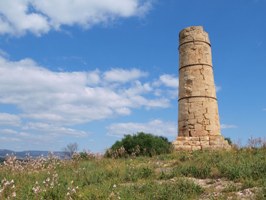 Torre Pizzuta