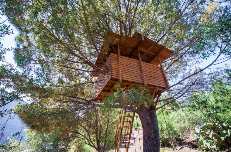 Kids will surely enjoy the beautiful treehouse