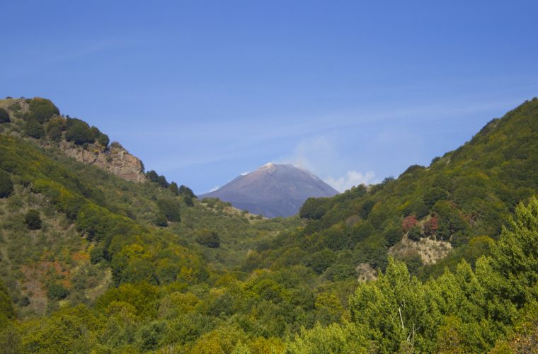 The top seen from the forest during the walking