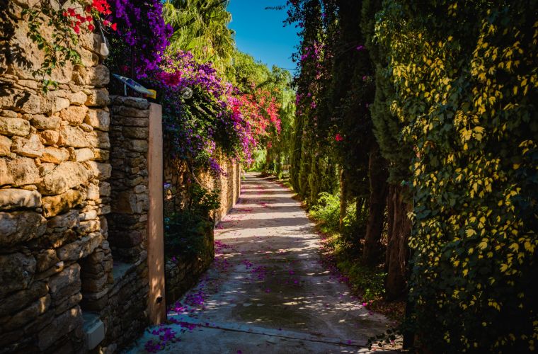 You are welcomed by the  colors of the plants and alleys of cypresses and palms