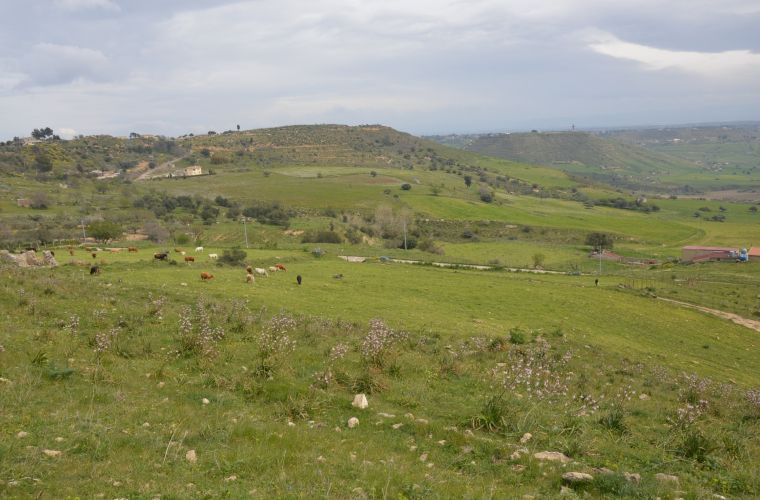 Monte San Mauro: panorama of the inland