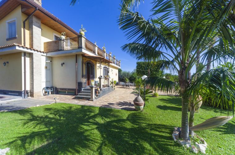 Lawn by the entrance