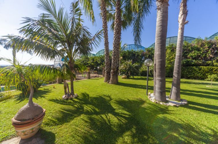 Lawn above the pool area