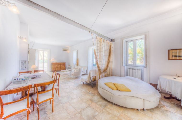 The round shape bed in a corner of the living room