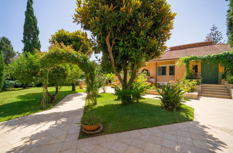 Lawn and green paths