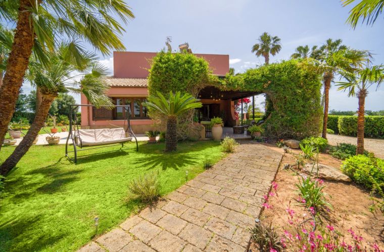 Path to the house