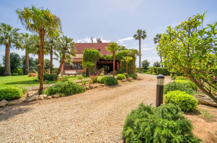 Tropical and Mediterranean plants all around the property