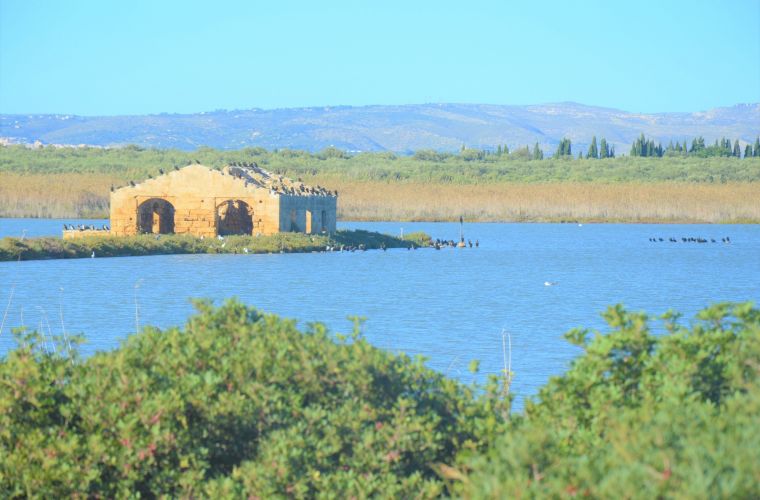 Vendicari natural reserve, 80 kms
