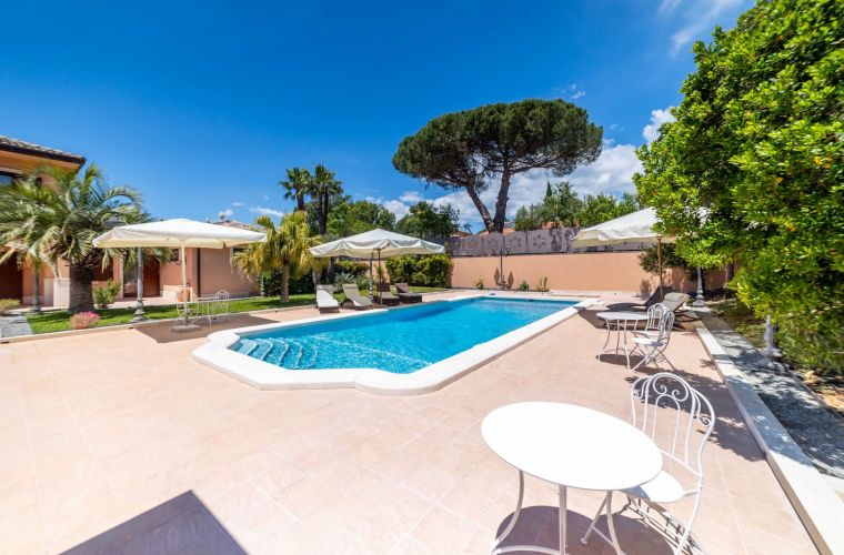 Olive trees, palm trees and pool area