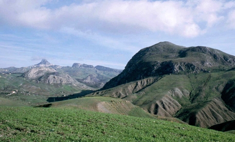 Monte Conca (Riserva Naturalistica)