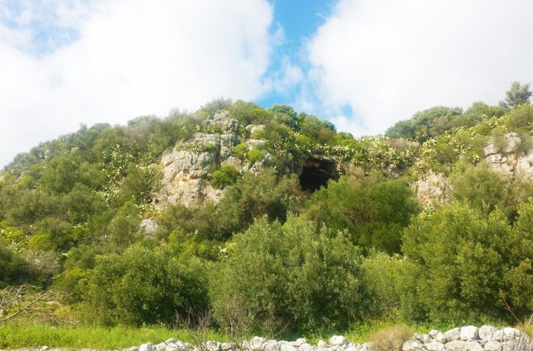 The cave surrounded by vegetation