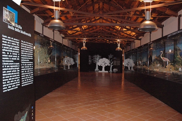 Museo Regionale di storia naturale e mostra permanente del carretto siciliano