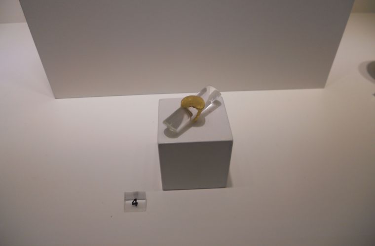 Gold ring at the museum in Tripi