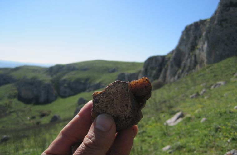 A prehistoric tool on the border of Adranon