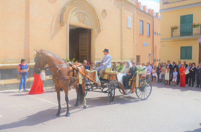 Do you want to rent a real Sicilian cart? As Beatrice and Thomas did?